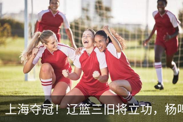上海夺冠！辽篮三旧将立功，杨鸣助手拿3冠，张镇麟6年5进决赛