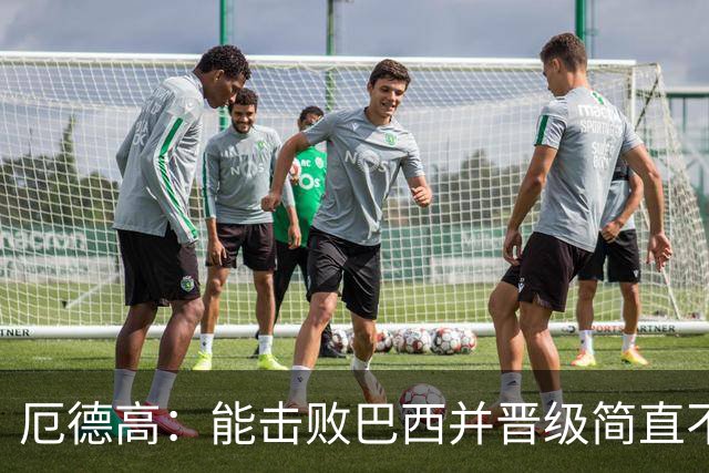 厄德高：能击败巴西并晋级简直不可思议 哈兰德总能制造威胁