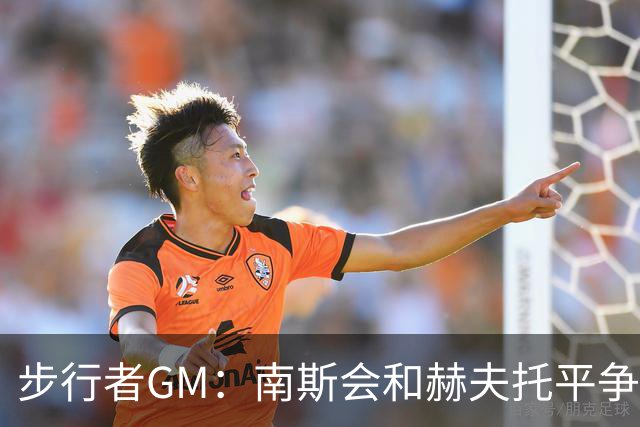 步行者GM：南斯会和赫夫托平争夺替补中锋的席位