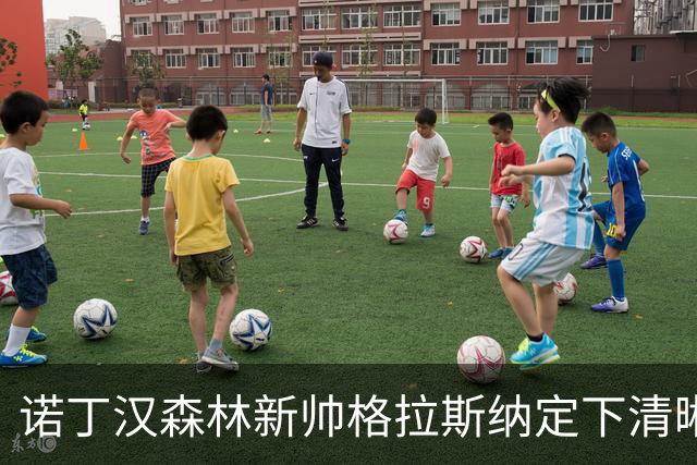 诺丁汉森林新帅格拉斯纳定下清晰蓝图：还要再签四人