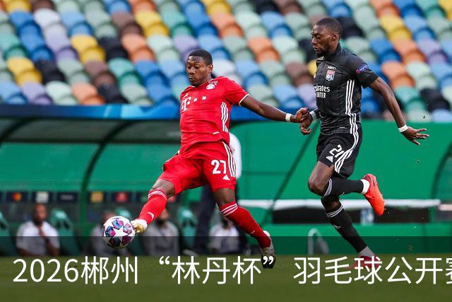 2026郴州“林丹杯”羽毛球公开赛开幕 11个国家和地区运动员参与角逐
